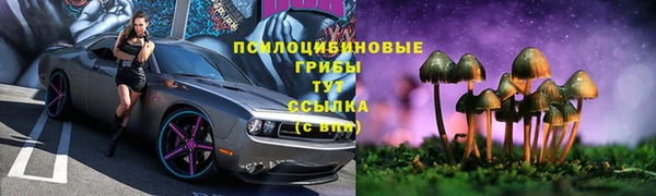 индика Бородино