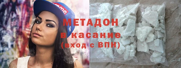 индика Бородино