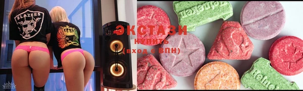 индика Бородино
