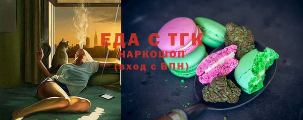 индика Бородино