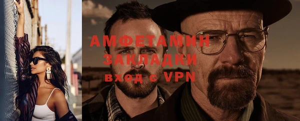 индика Бородино