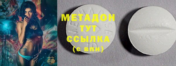 индика Бородино