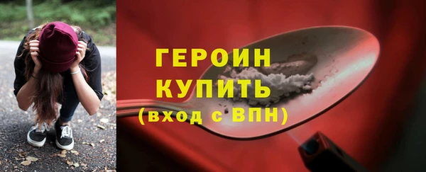 индика Бородино