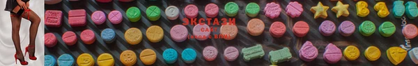 индика Бородино