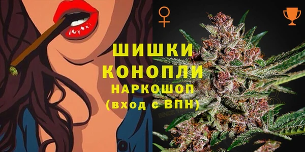 индика Бородино