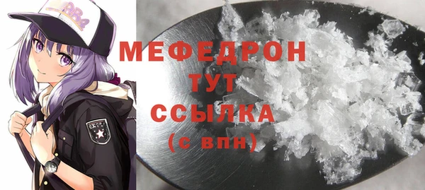 индика Бородино