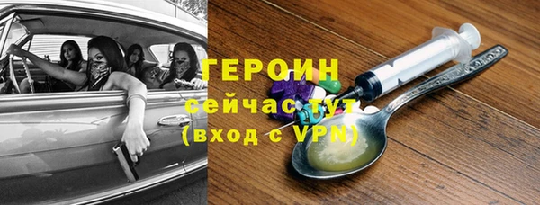 индика Бородино