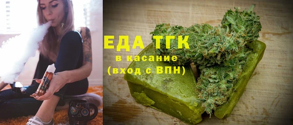 индика Бородино