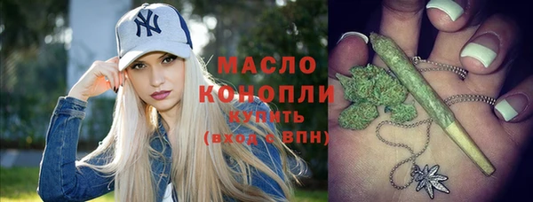 индика Бородино