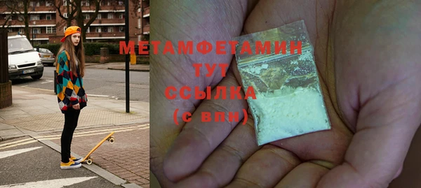 индика Бородино