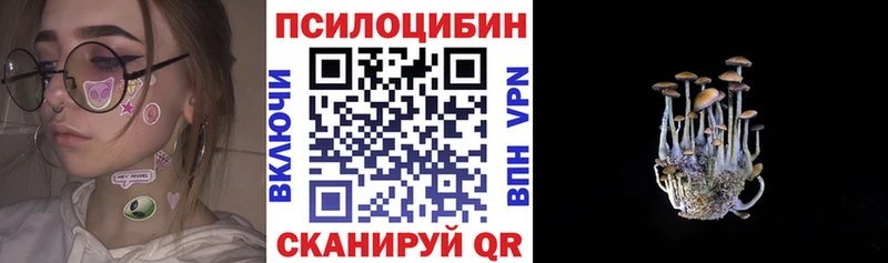 Купить где Медынь Псилоцибиновые грибы GOLDEN TEACHER